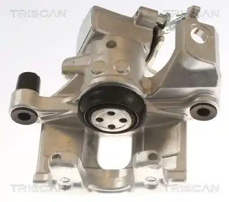 TRISCAN 8175 13208