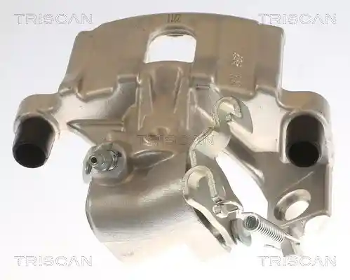 TRISCAN 8175 13208