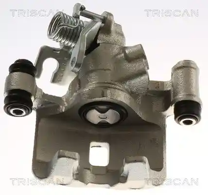 TRISCAN 8175 13216