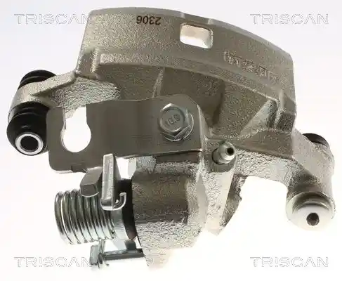 TRISCAN 8175 13216