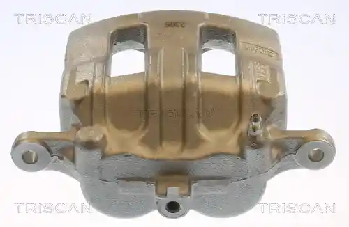 TRISCAN 8175 14111