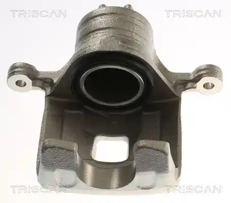 TRISCAN 8175 14211