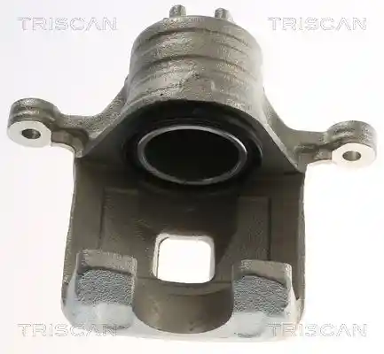 TRISCAN 8175 14212