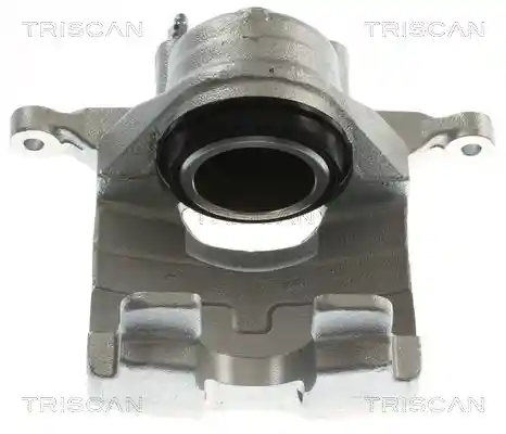 TRISCAN 8175 24121