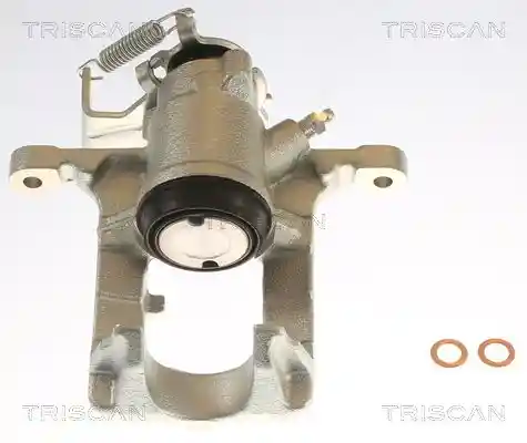 TRISCAN 8175 24209