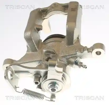 TRISCAN 8175 24209