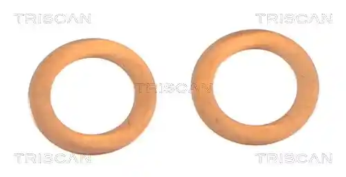 TRISCAN 8175 24209