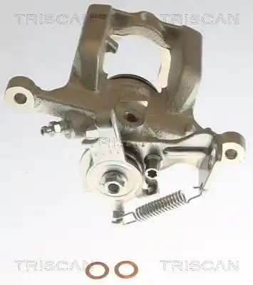 TRISCAN 8175 24210