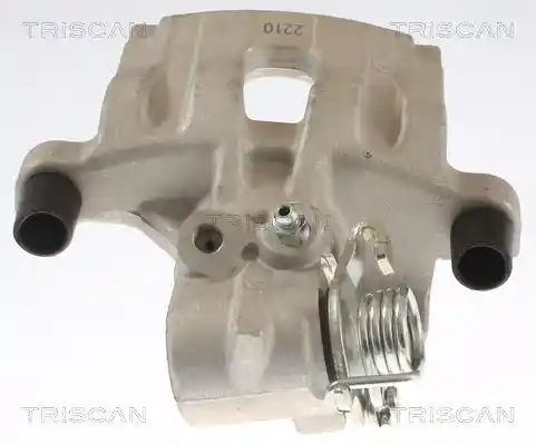 TRISCAN 8175 25201