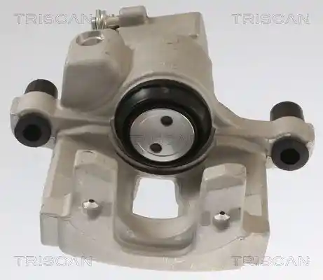TRISCAN 8175 25202