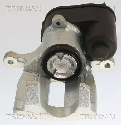 TRISCAN 8175 27209