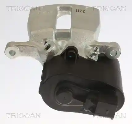 TRISCAN 8175 27209