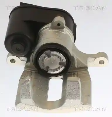 TRISCAN 8175 27210