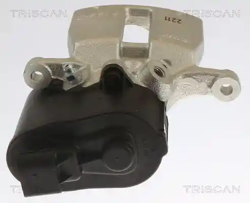 TRISCAN 8175 27210