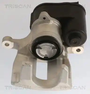 TRISCAN 8175 27211