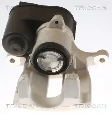 TRISCAN 8175 27212