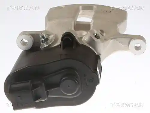 TRISCAN 8175 27212