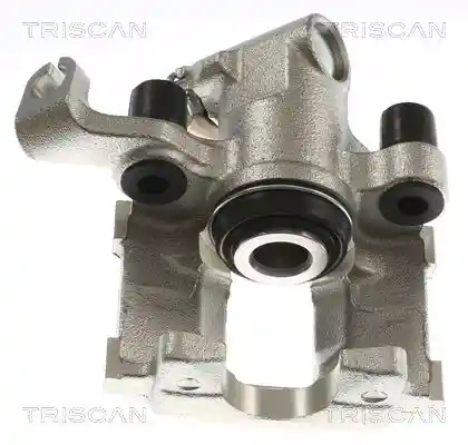 TRISCAN 8175 27213