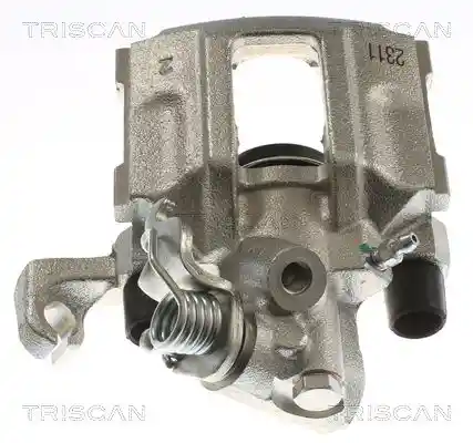 TRISCAN 8175 27213