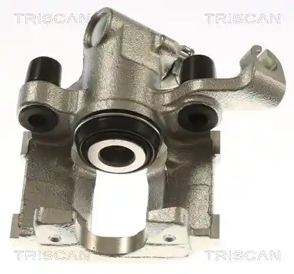 TRISCAN 8175 27214