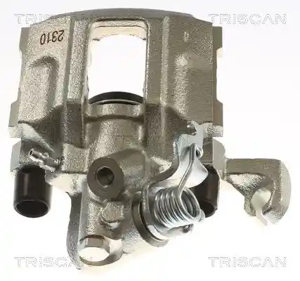 TRISCAN 8175 27214