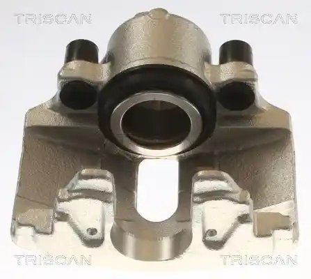 TRISCAN 8175 29101