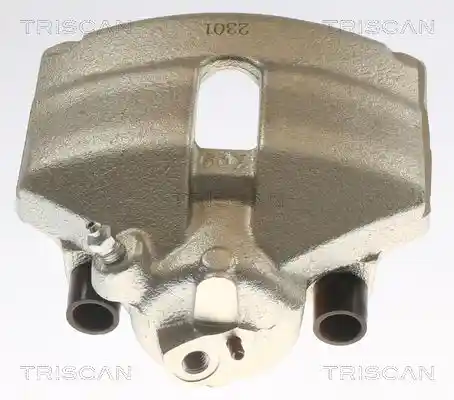 TRISCAN 8175 29101
