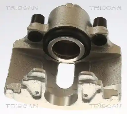 TRISCAN 8175 29102