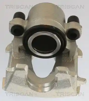 TRISCAN 8175 29105