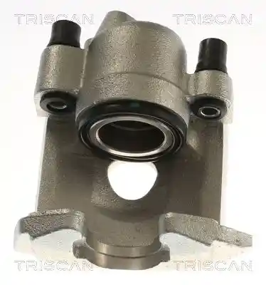 TRISCAN 8175 29165