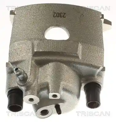 TRISCAN 8175 29165