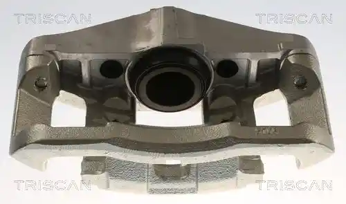 TRISCAN 8175 29171