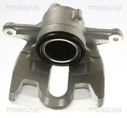 TRISCAN 8175 29187