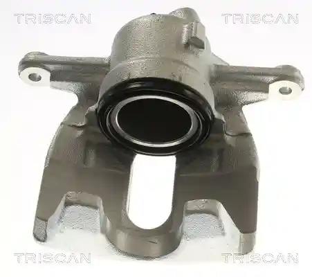 TRISCAN 8175 29188