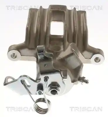 TRISCAN 8175 29203