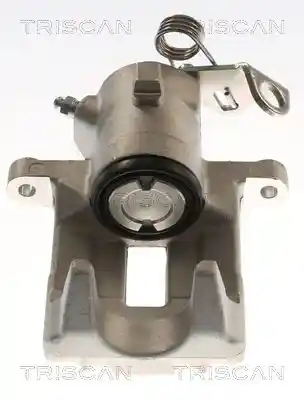TRISCAN 8175 29204