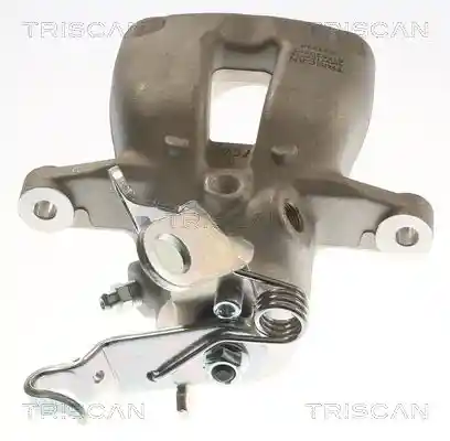 TRISCAN 8175 29205