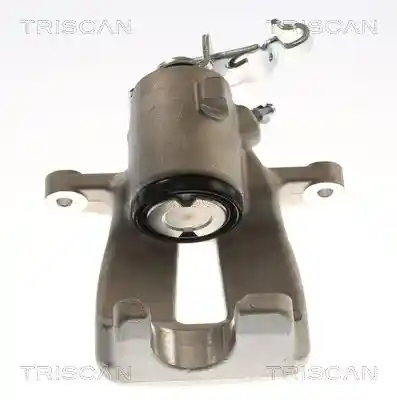 TRISCAN 8175 29206