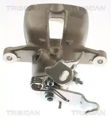 TRISCAN 8175 29206