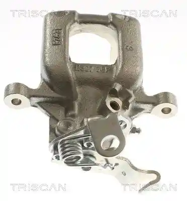 TRISCAN 8175 29208