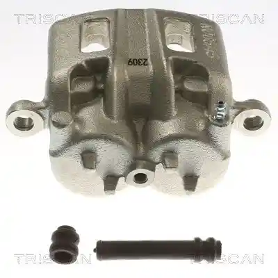 TRISCAN 8175 42110