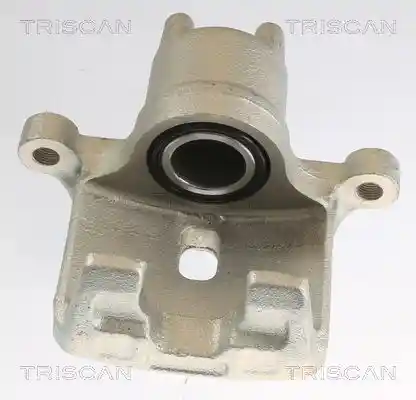 TRISCAN 8175 42202