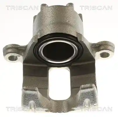 TRISCAN 8175 42216