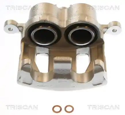 TRISCAN 8175 43137