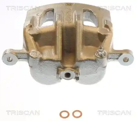 TRISCAN 8175 43137