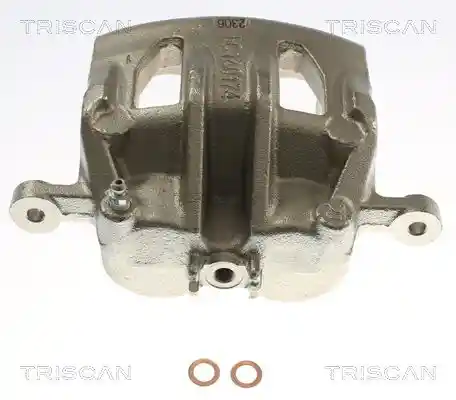 TRISCAN 8175 43138