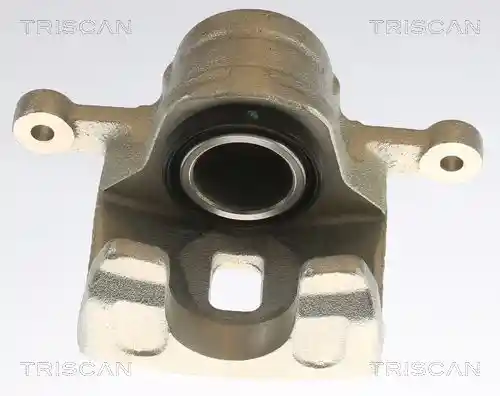 TRISCAN 8175 43203