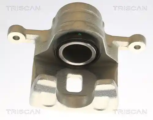 TRISCAN 8175 43204