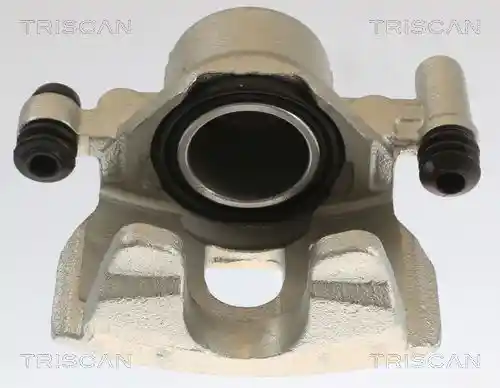 TRISCAN 8175 50101
