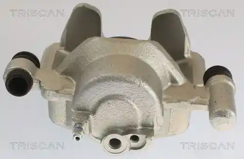 TRISCAN 8175 50102